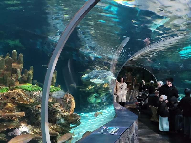 Ripley's Aquarium of the Smokies, Gatlinburg