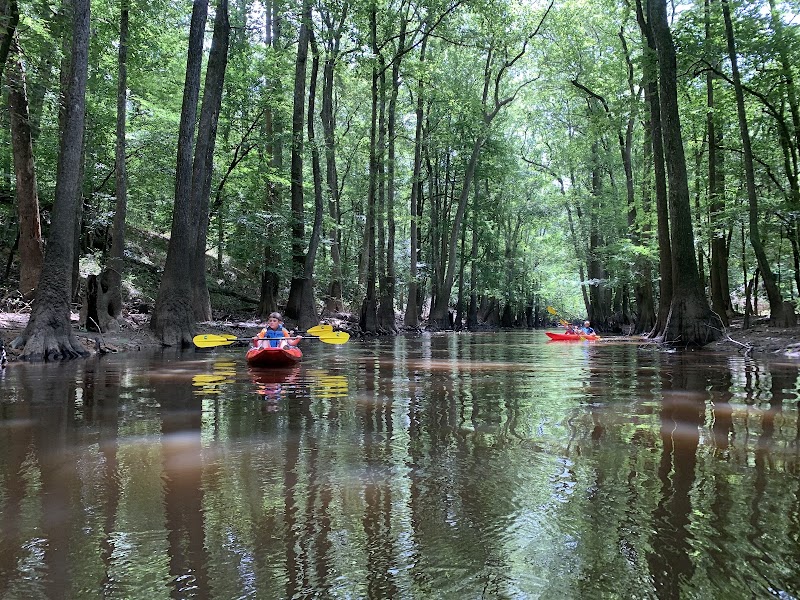 Kingsnake Trailhead, Congaree