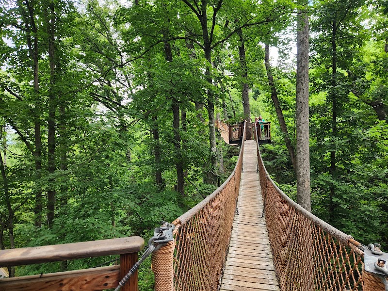 Anakeesta, Gatlinburg