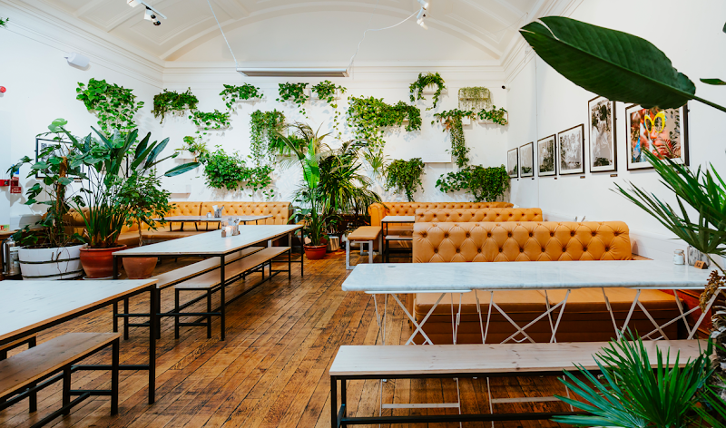 Medicine Bakery, Birmingham