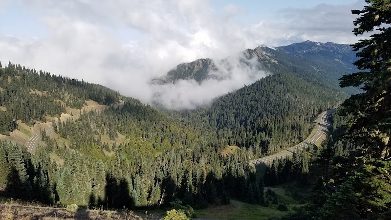 Hurricane Ridge Road, Olympic