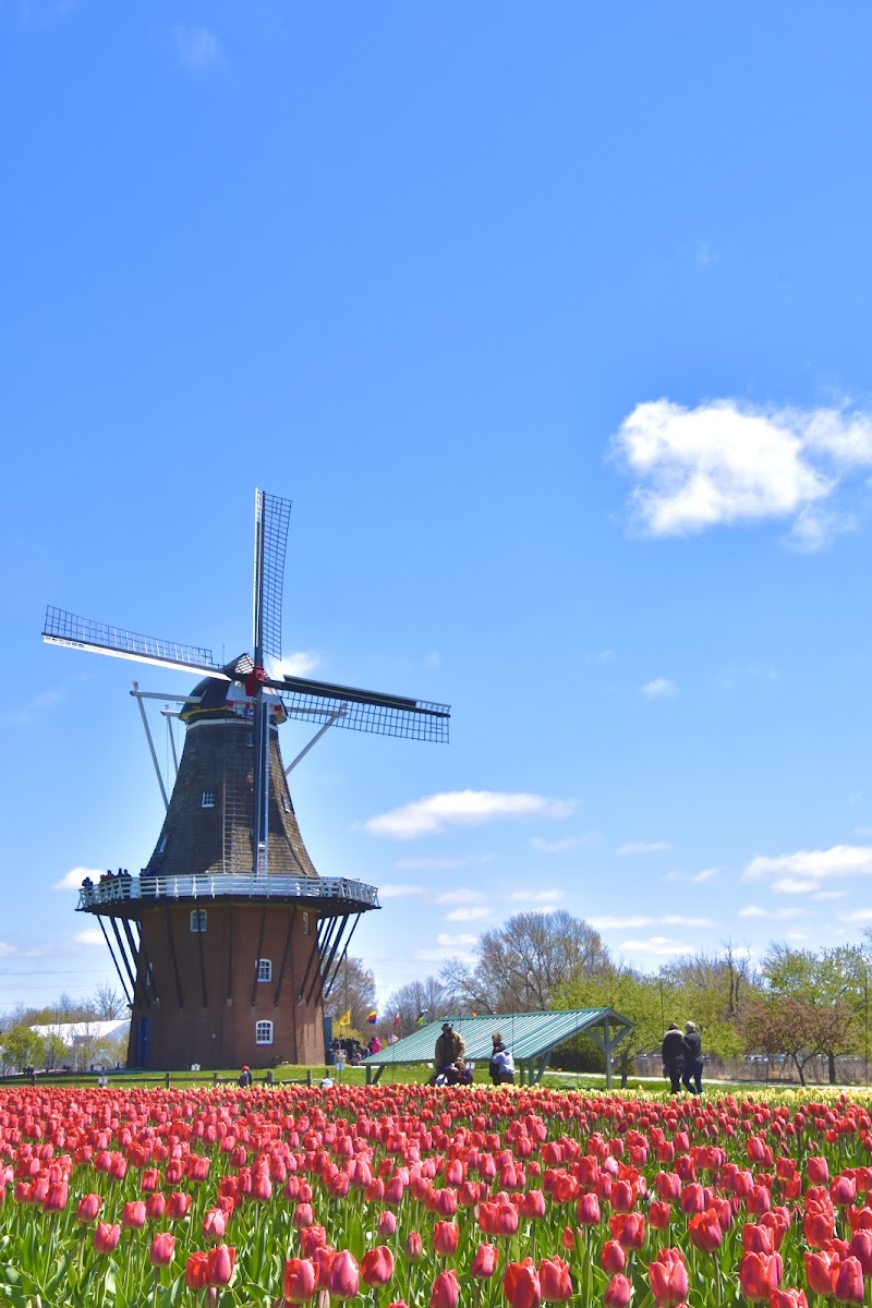 Windmill Island Gardens, Holland, MI