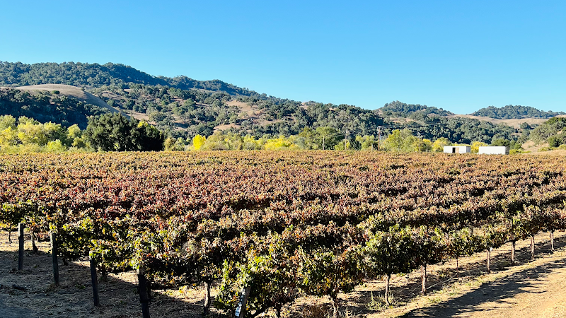 Sunstone Winery, Santa Ynez