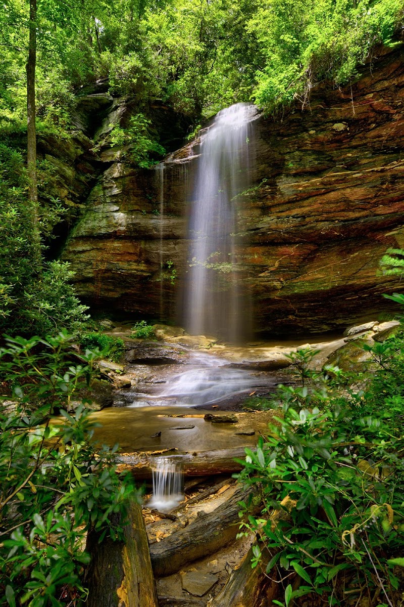 Moore Cove Falls Trail, Brevard