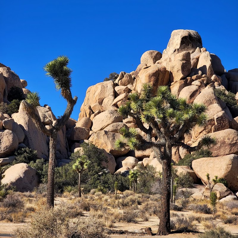 Hidden Valley Nature Trailhead, Joshua Tree