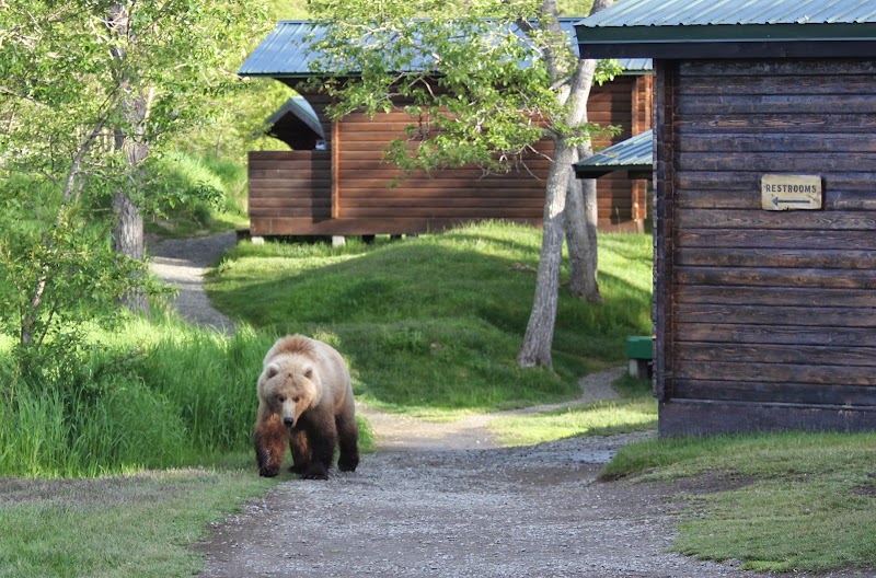 Brooks Lodge, Katmai