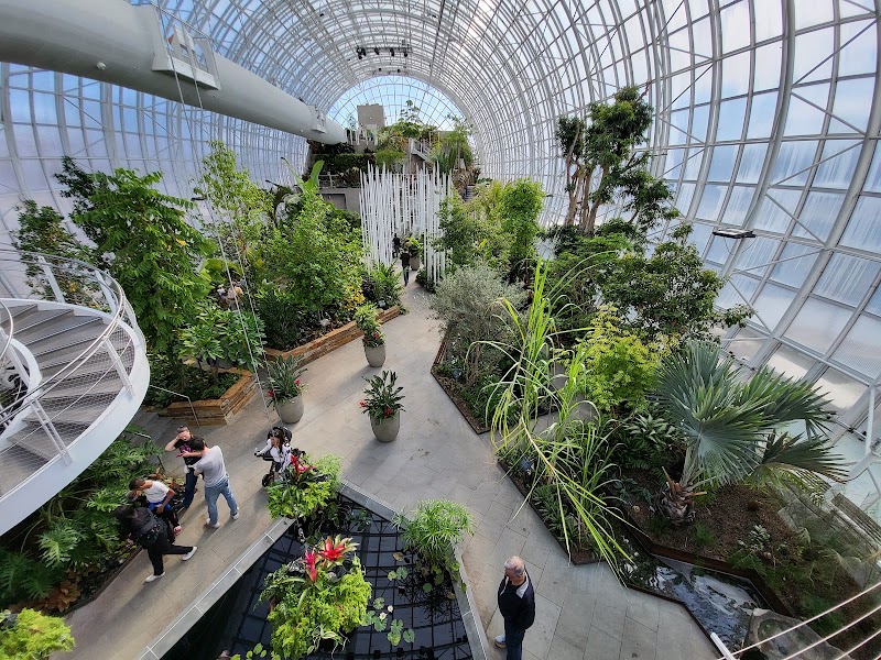 Myriad Botanical Gardens, Oklahoma City
