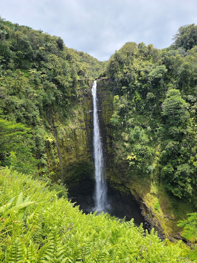 ʻAkaka Falls State Park, Big Island Hawaii