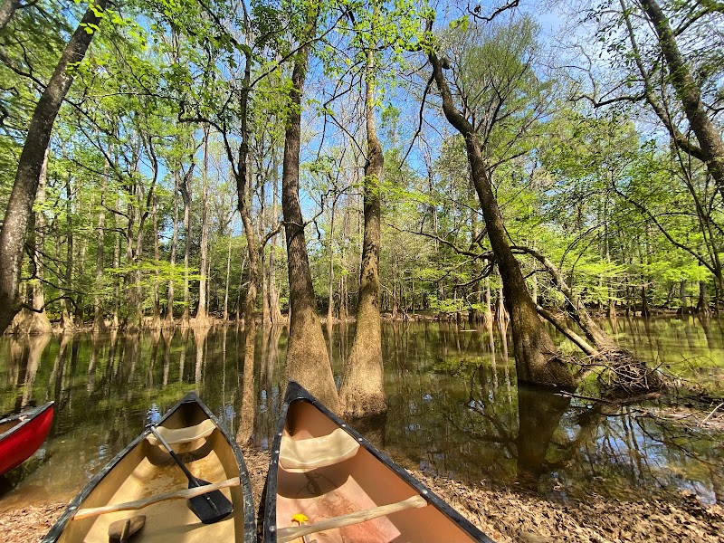 South Cedar Creek Canoe Landing, Congaree