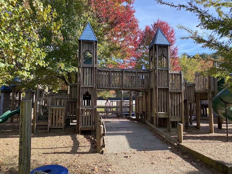 Carrier Park, Asheville