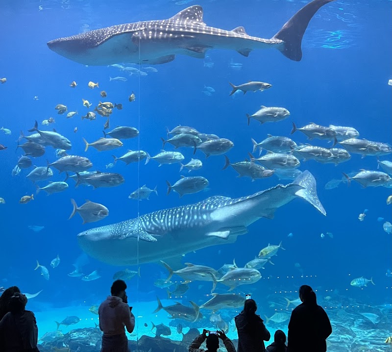 Georgia Aquarium, Atlanta