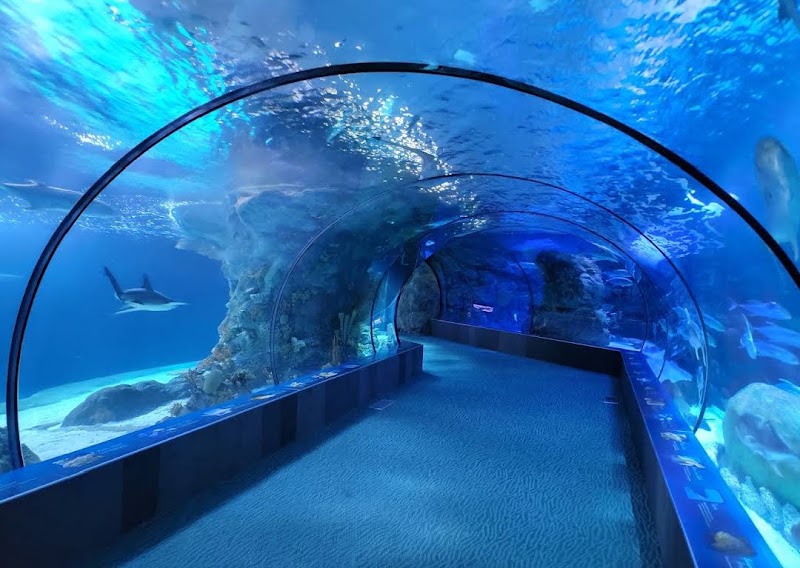 Omaha's Henry Doorly Zoo and Aquarium, Omaha