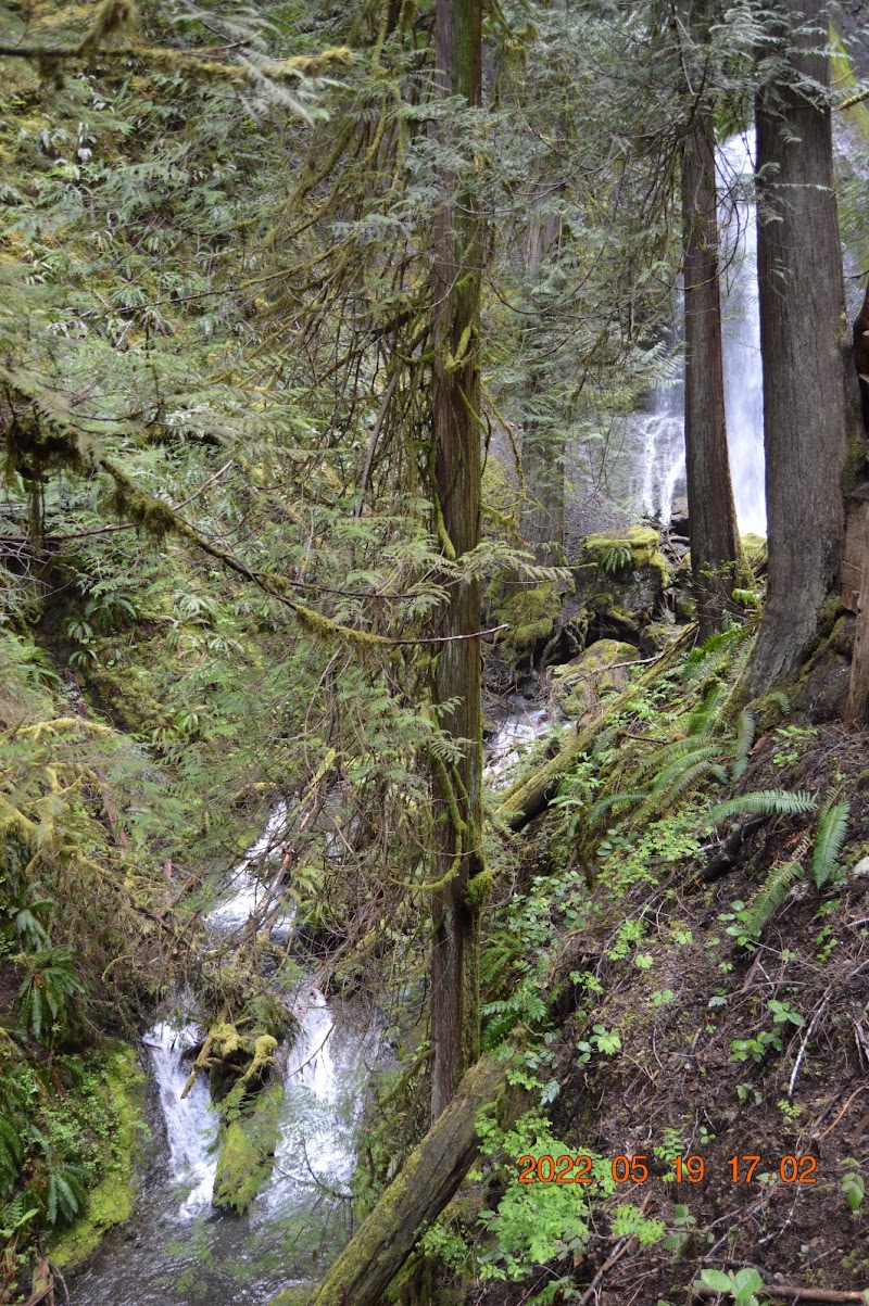 Marymere Falls Trailhead, Olympic