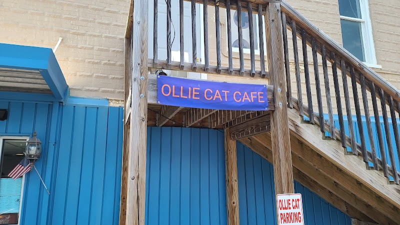 Ollie Cat Cafe, Shenandoah Valley