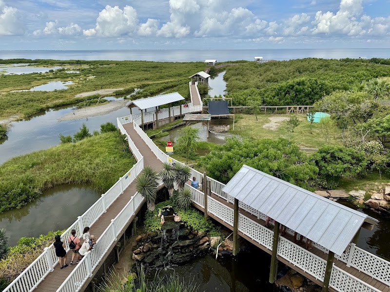 South Padre Island Birding & Nature Center, South Padre Island
