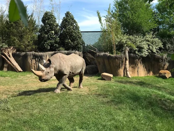 Fort Worth Zoo, Fort Worth