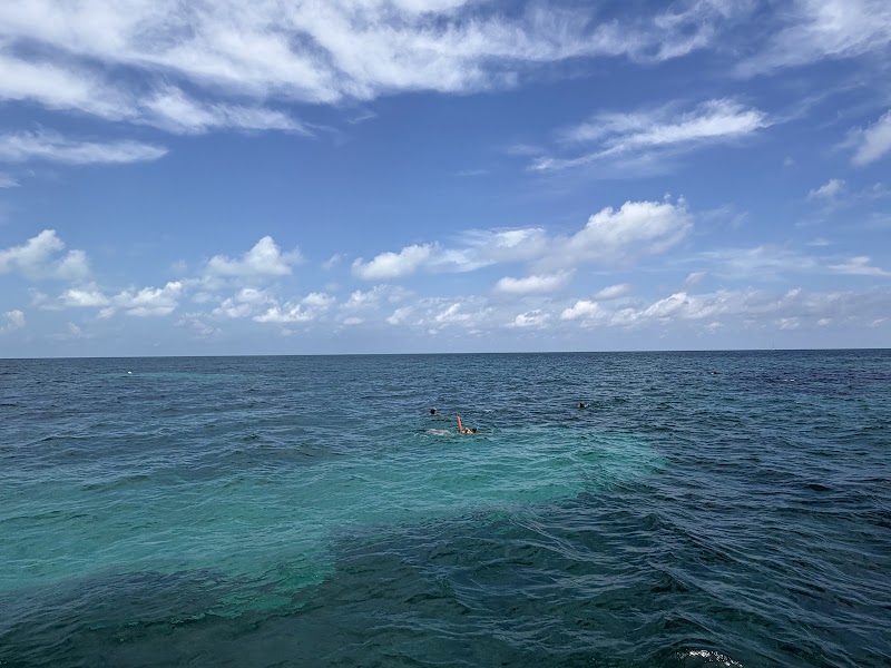 Sundiver Snorkel Tours, Key Largo
