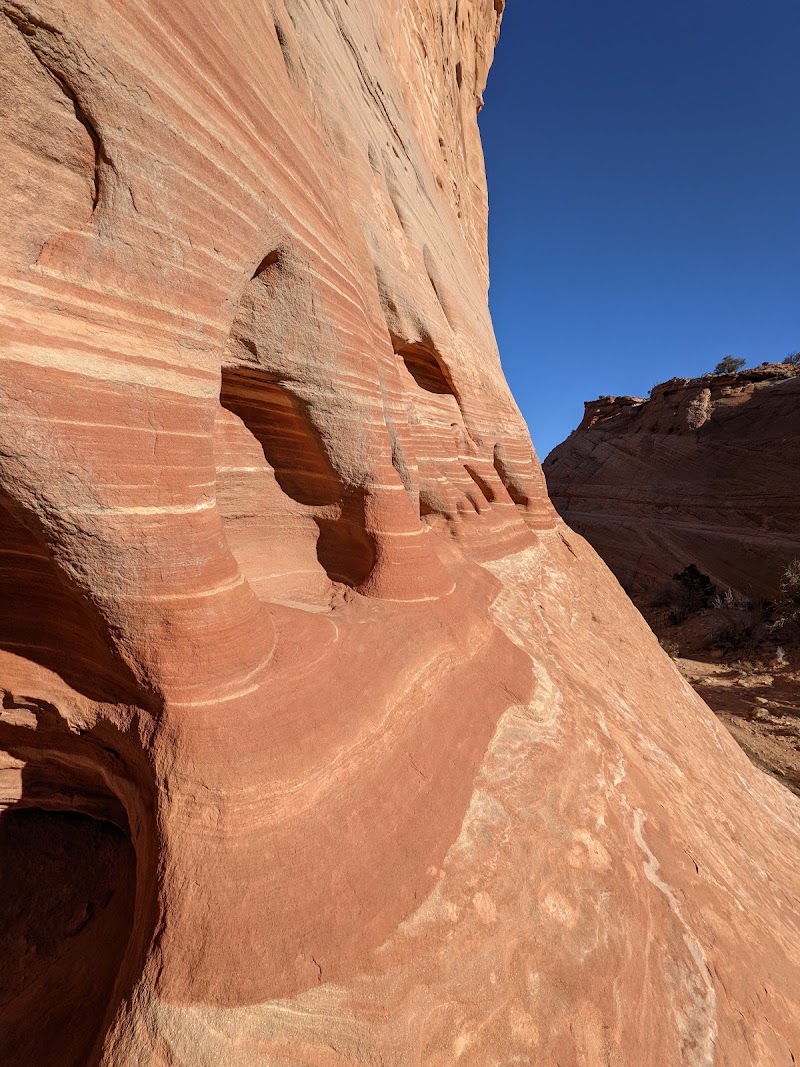 Zebra Slot, Escalante