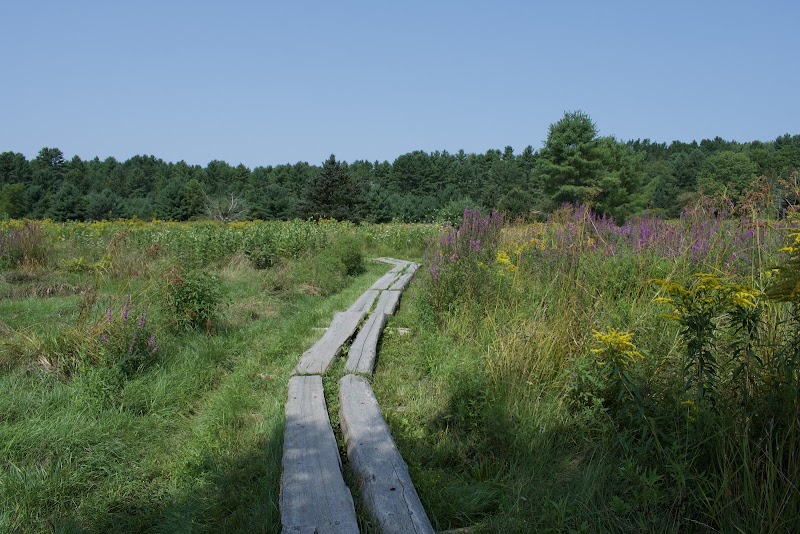 Highland Farm Preserve, York, ME