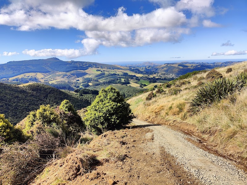 Pineapple Track Walkway, Dunedin