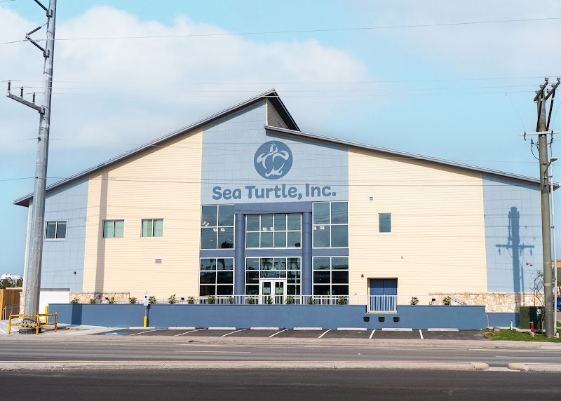 Sea Turtle, Inc., South Padre Island