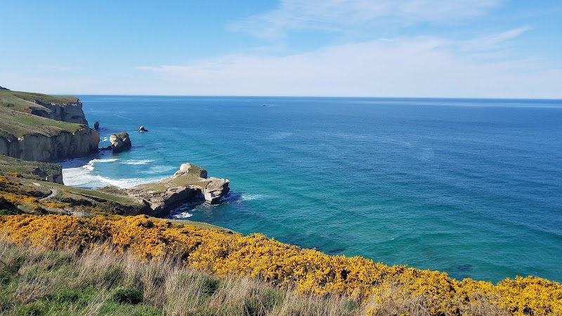 Tunnel Beach Track, Dunedin