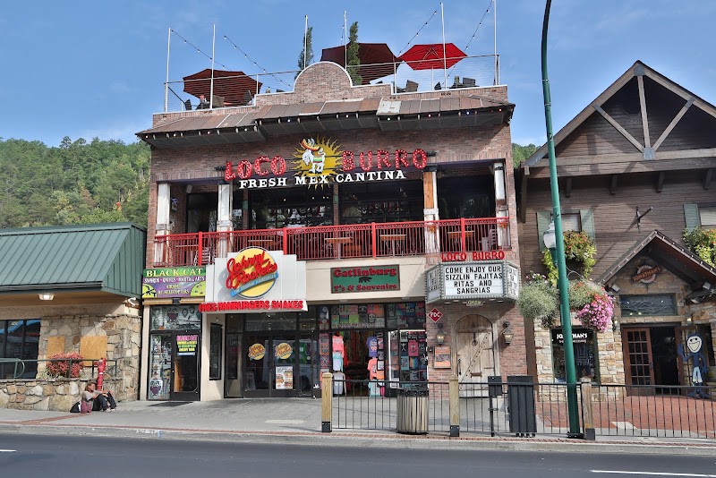 Loco Burro Fresh Mex Cantina, Gatlinburg