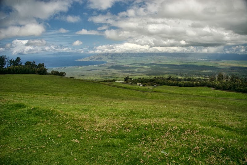 Polipoli Spring State Recreation Area, Haleakala