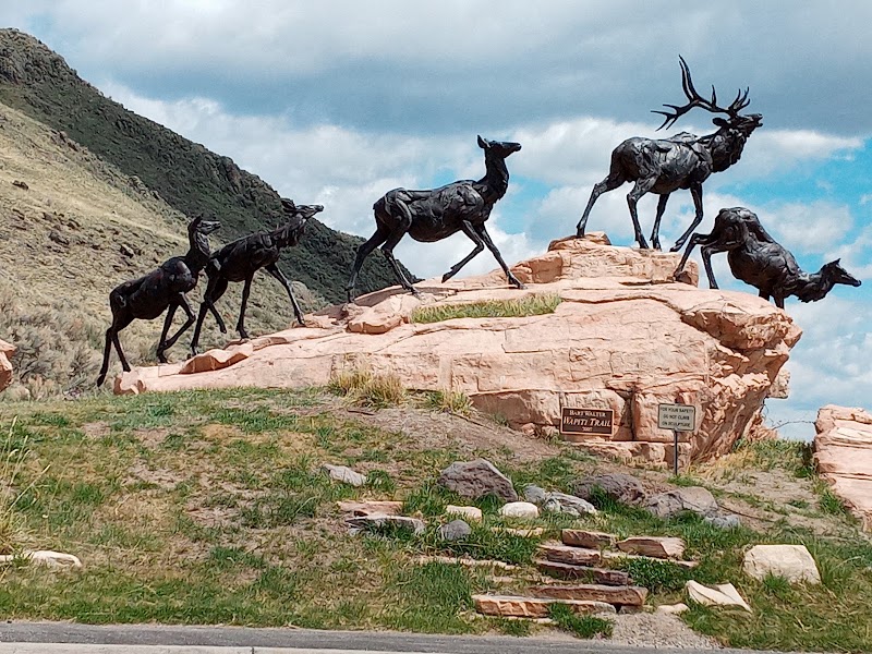 National Museum of Wildlife Art, Jackson Hole