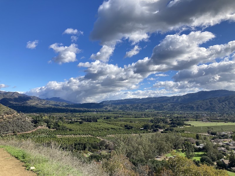 Valley View Preserve - Shelf Rd Trailhead (at N Signal St), Ojai