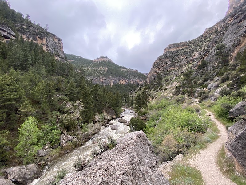 Tongue River Canyon Access, Bighorn