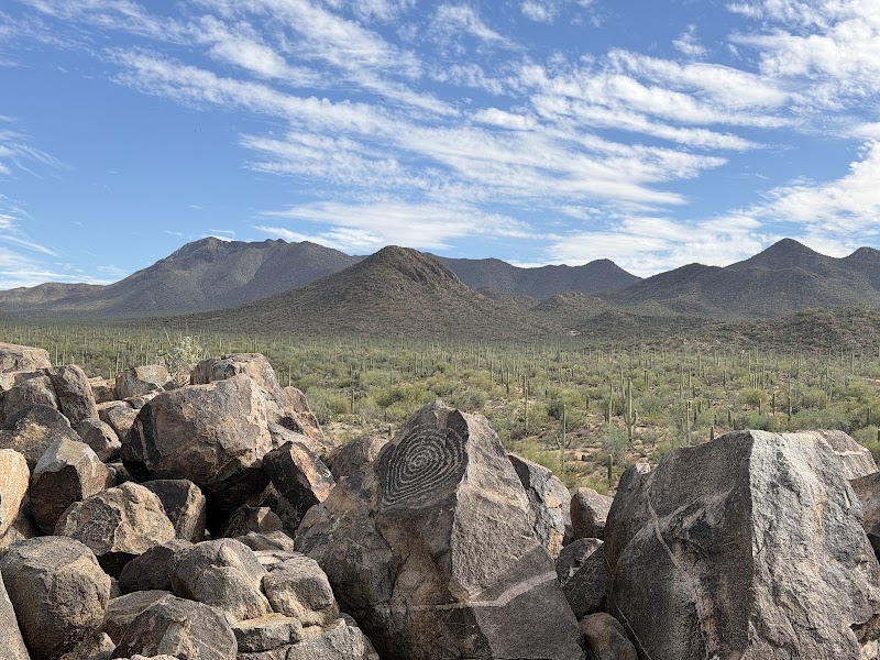 Signal Hill Trail, Saguaro