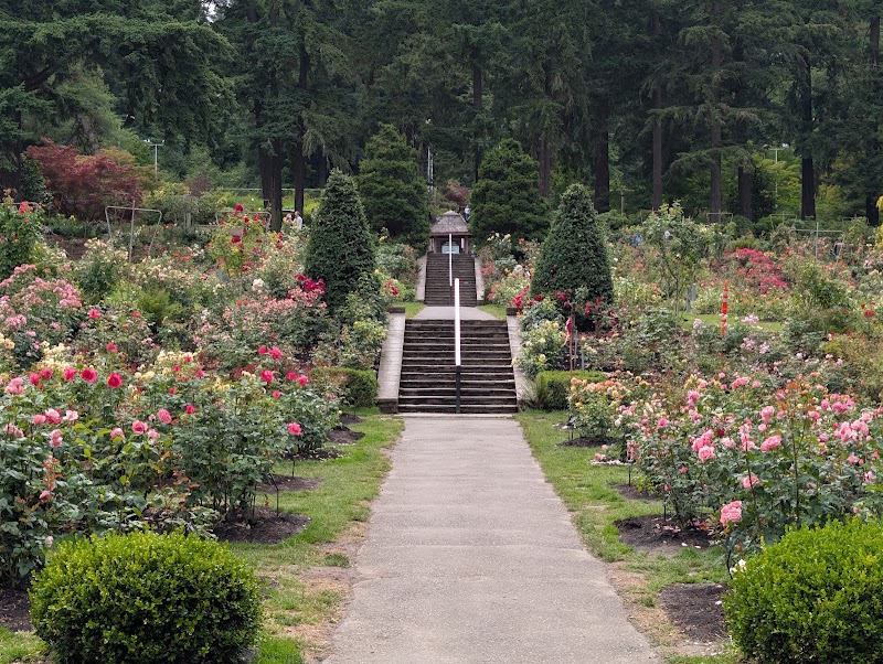 International Rose Test Garden, Portland, OR