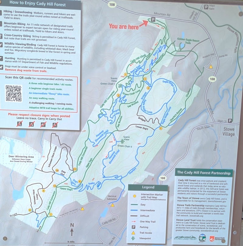 Cady Hill Forest, Stowe