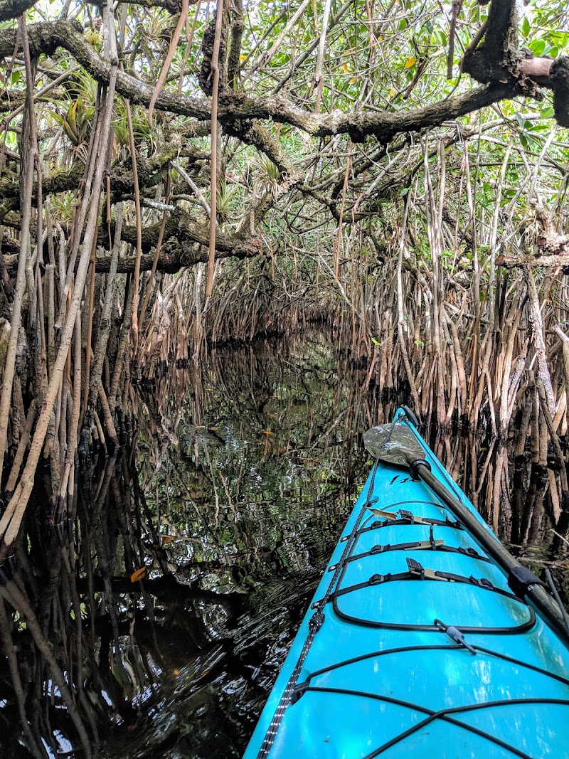 Turner River Paddling Trail, Everglades