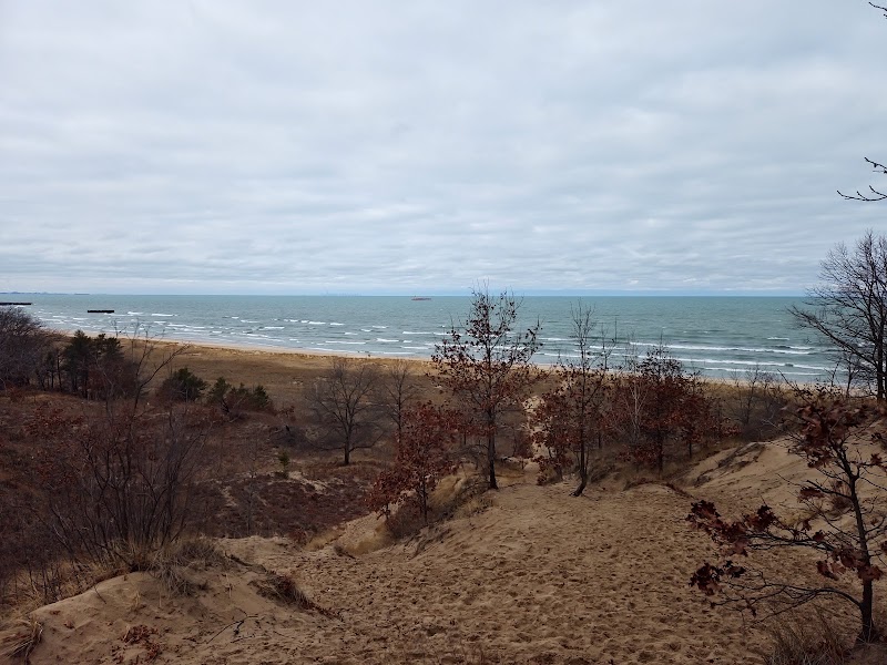 Indiana Dunes National Park Cowles Bog Trail, Indiana Dunes