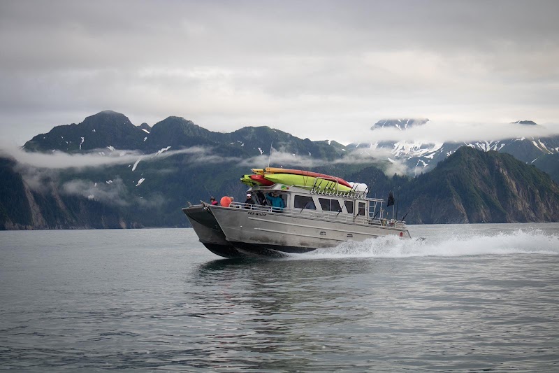 Miller's Landing, Kenai Fjords