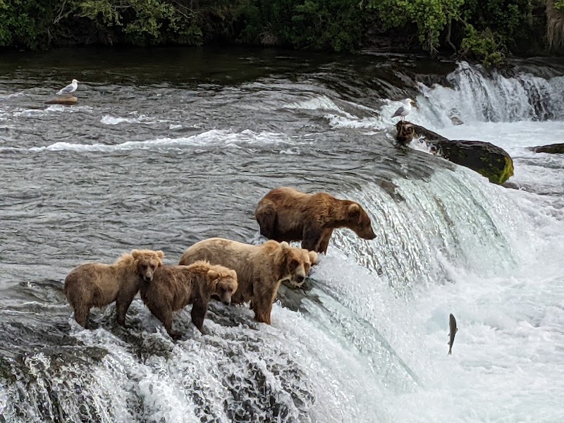 Katmai National Park and Preserve, Katmai