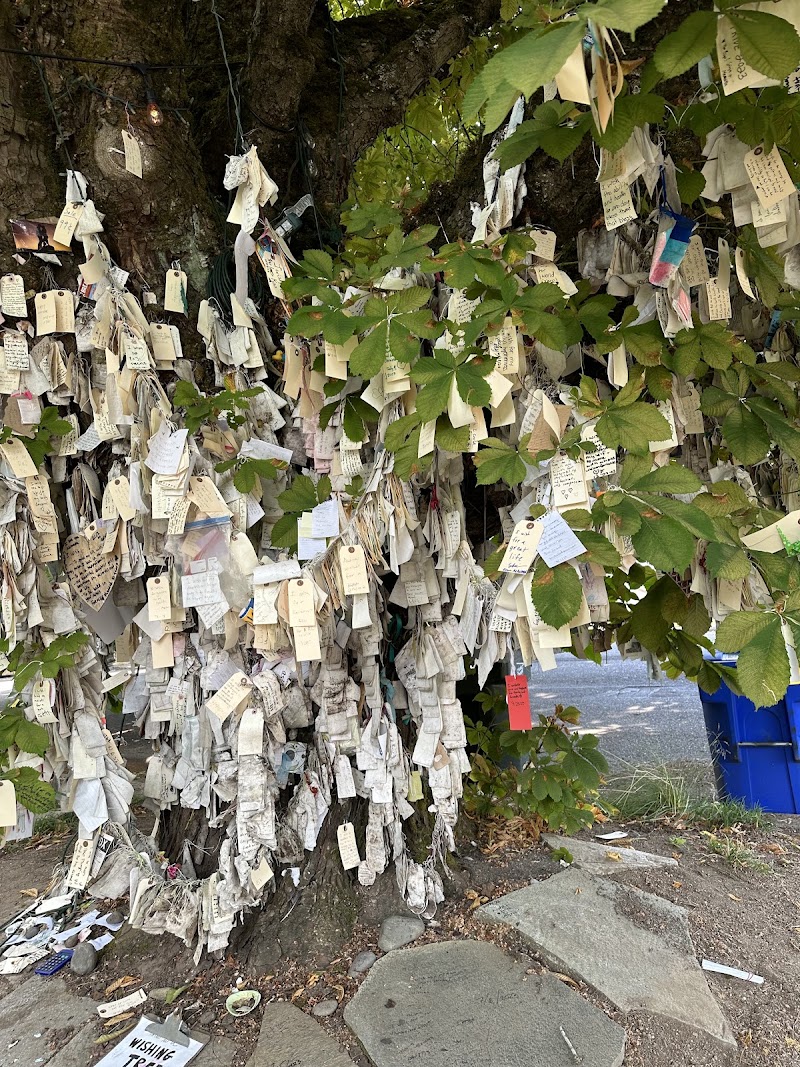 The Wishing Tree, Portland, OR