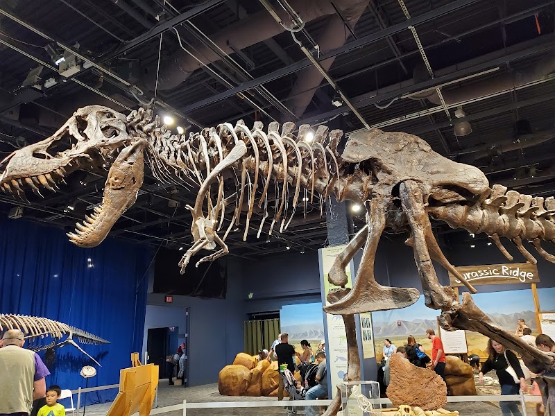 Orlando Science Center, Orlando