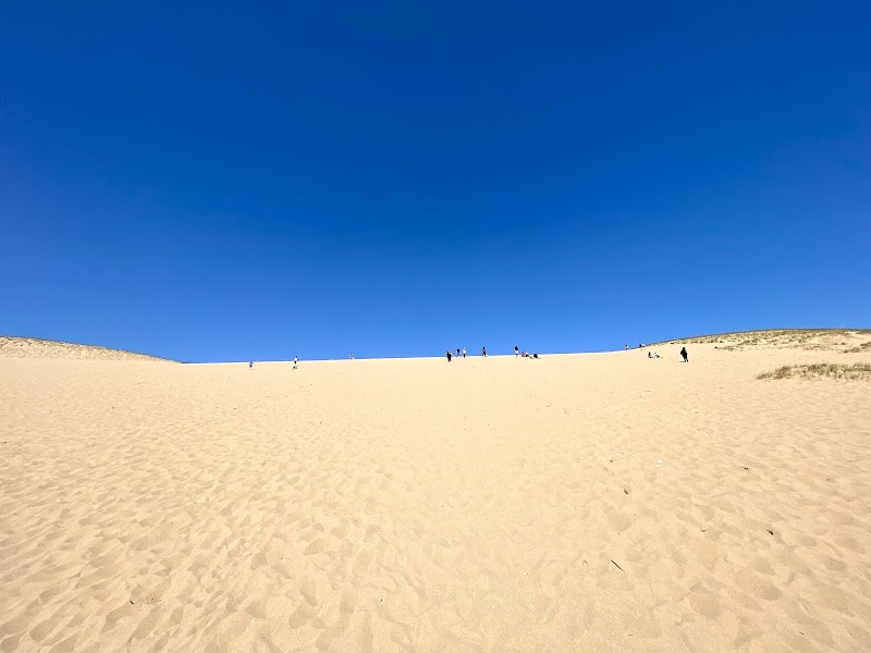 Dune Climb, Sleeping Bear Dunes