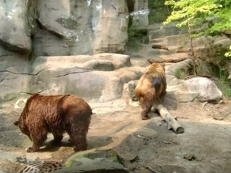 John Ball Zoo, Grand Rapids