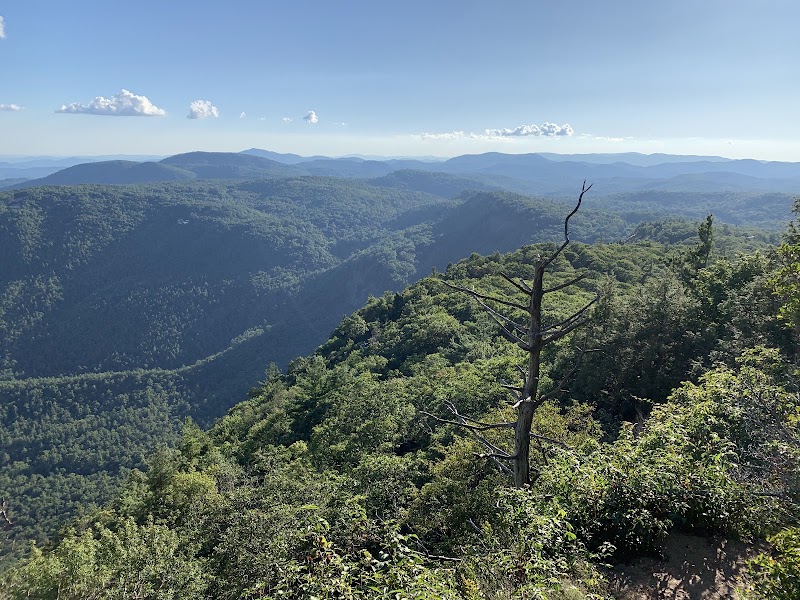 Whiteside Mtn Trail, Highlands, NC