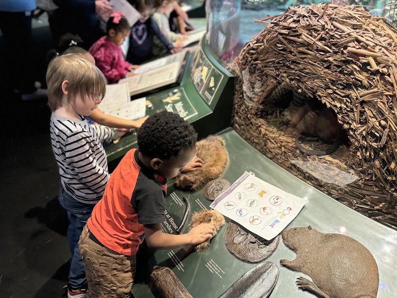 Grand Rapids Public Museum, Grand Rapids