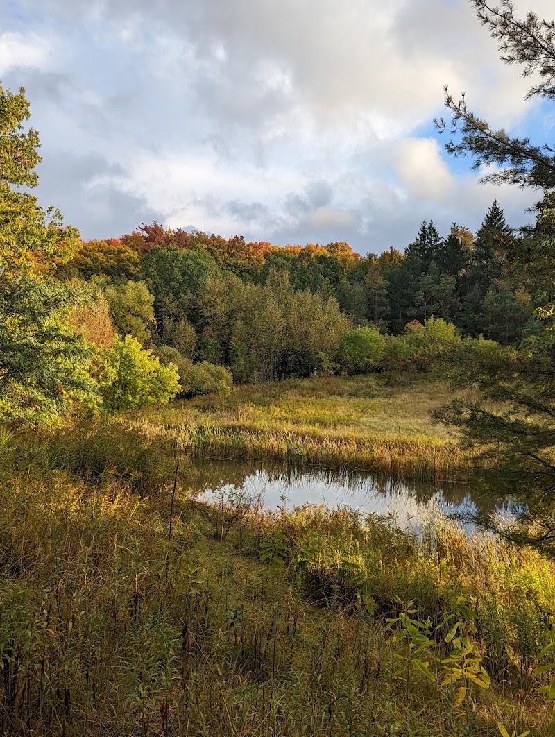 Grand Traverse Commons Natural Area, Traverse City