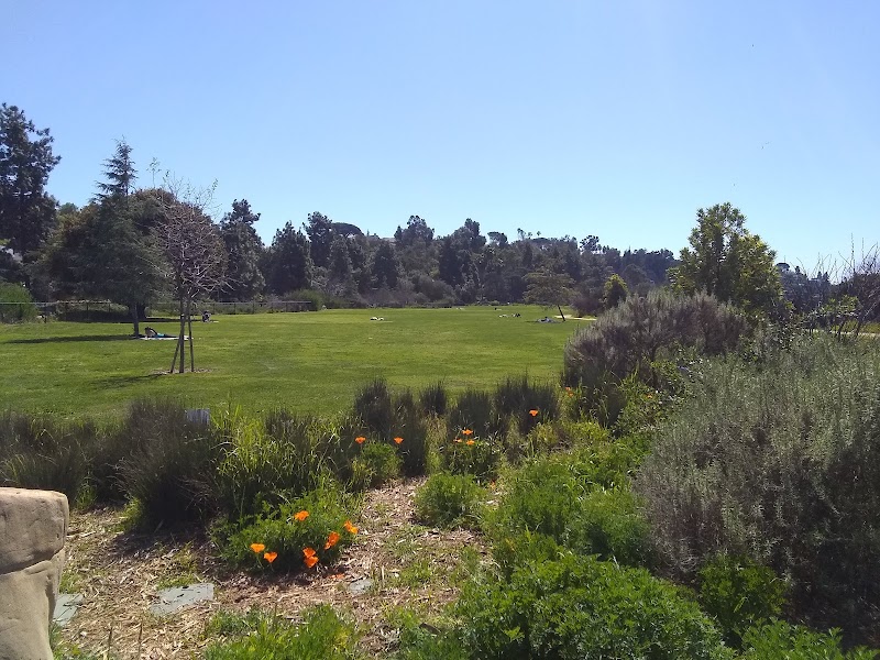 Silver Lake Meadows, Los Angeles