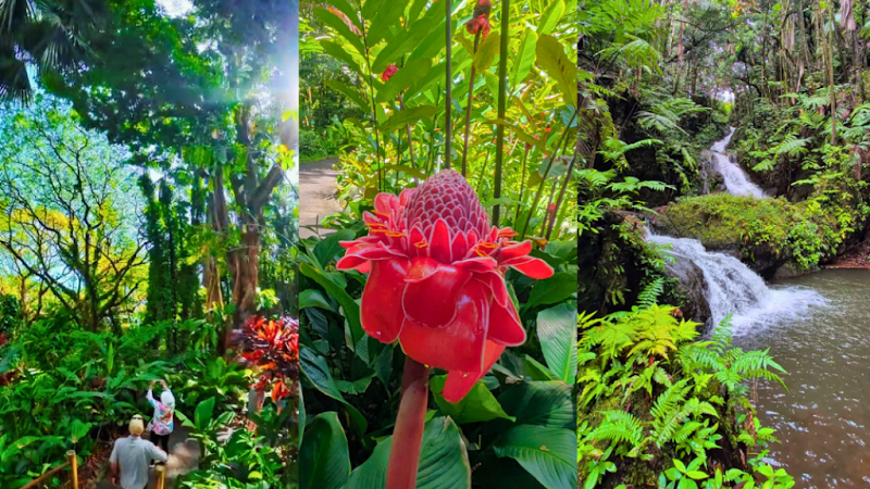 Hawai‘i Tropical Botanical Garden, Hilo