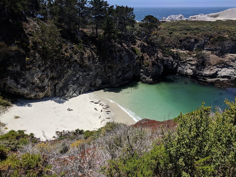 Point Lobos State Natural Reserve, Carmel By The Sea