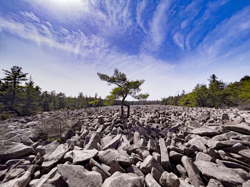 Hickory Run Boulder Field, Pocono Mountains