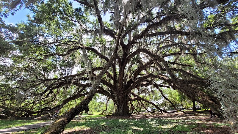 Loch Haven Park, Orlando